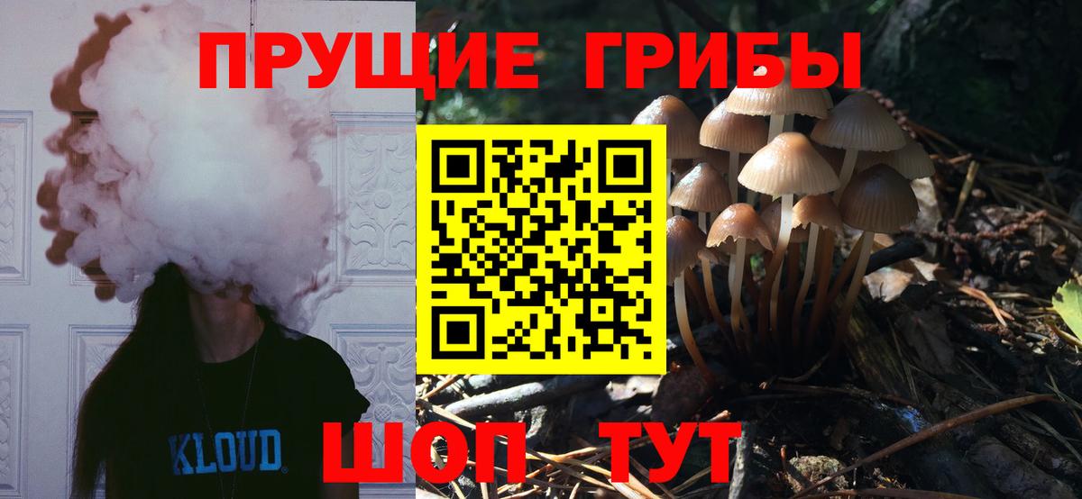 Галлюциногенные грибы Psilocybine cubensis  Вход с VPN  Гусь-Хрустальный 